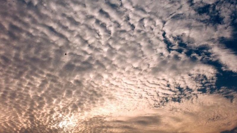 Cumulus extraordinairus
